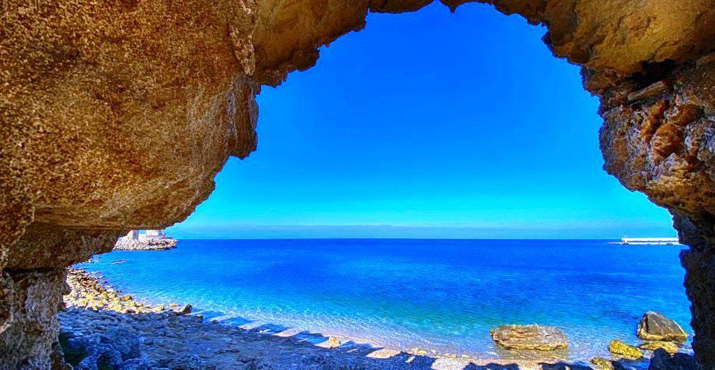 Mediterranean