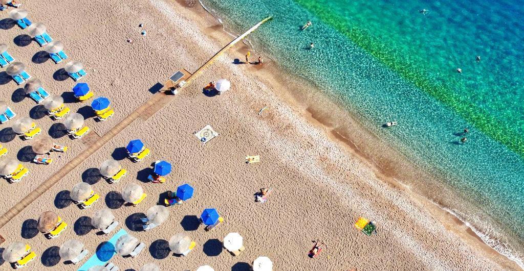 Mediterranean