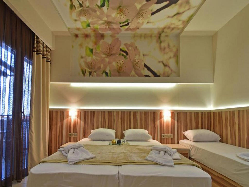 Dafni Plus Hotel Pieria