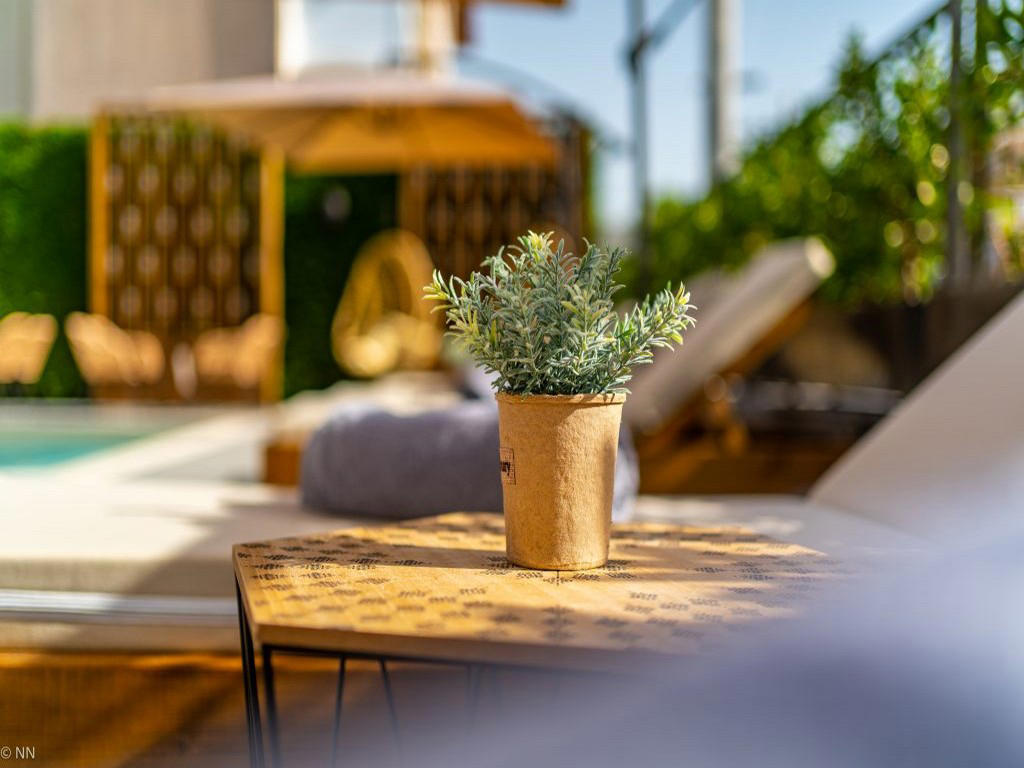 Dafni Plus Hotel Pieria