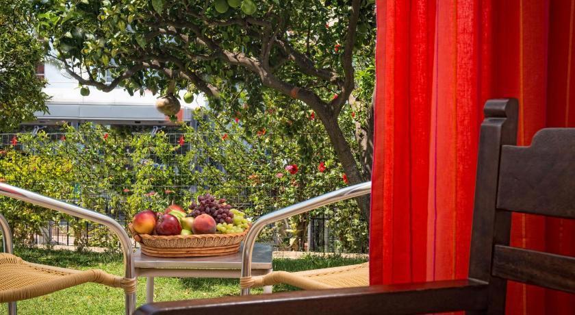 Malia Holidays Hotel