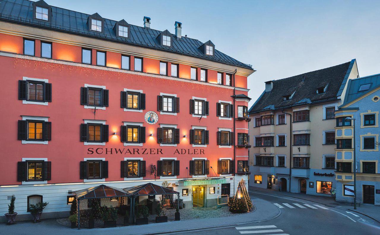 Schwarzer Adler