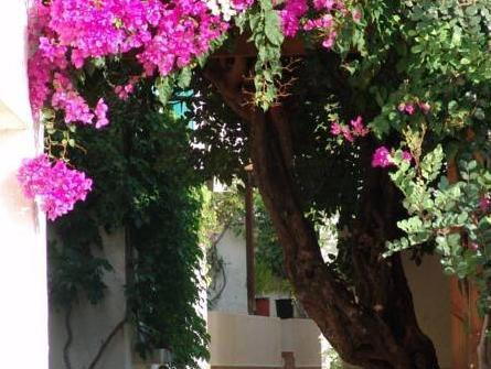 Amazones Kalimera Village