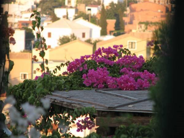 Amazones Kalimera Village