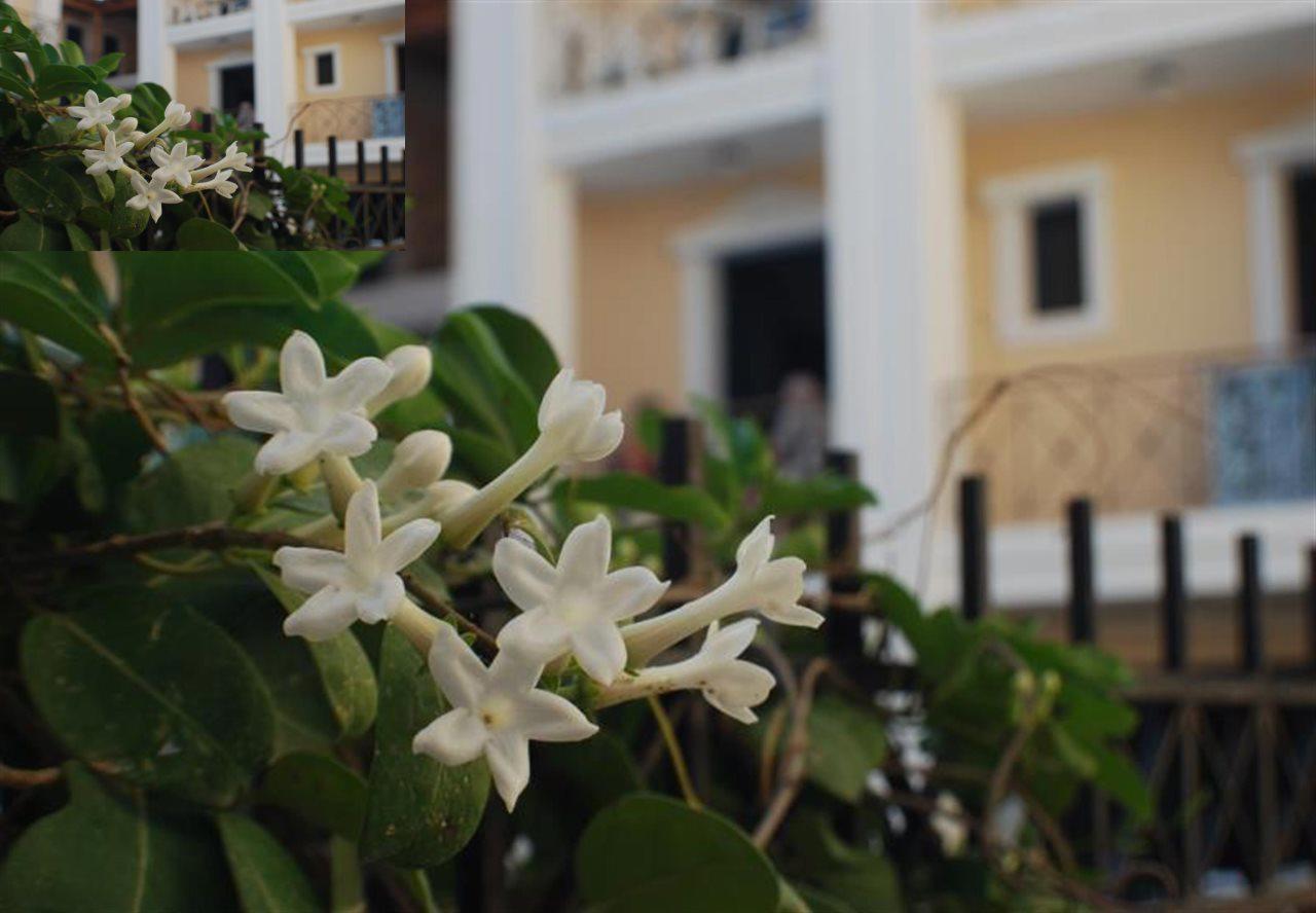 Renia Hotel