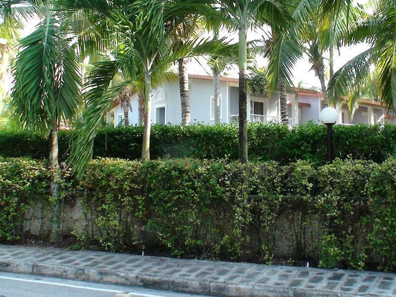 Hotel Riu Bambu