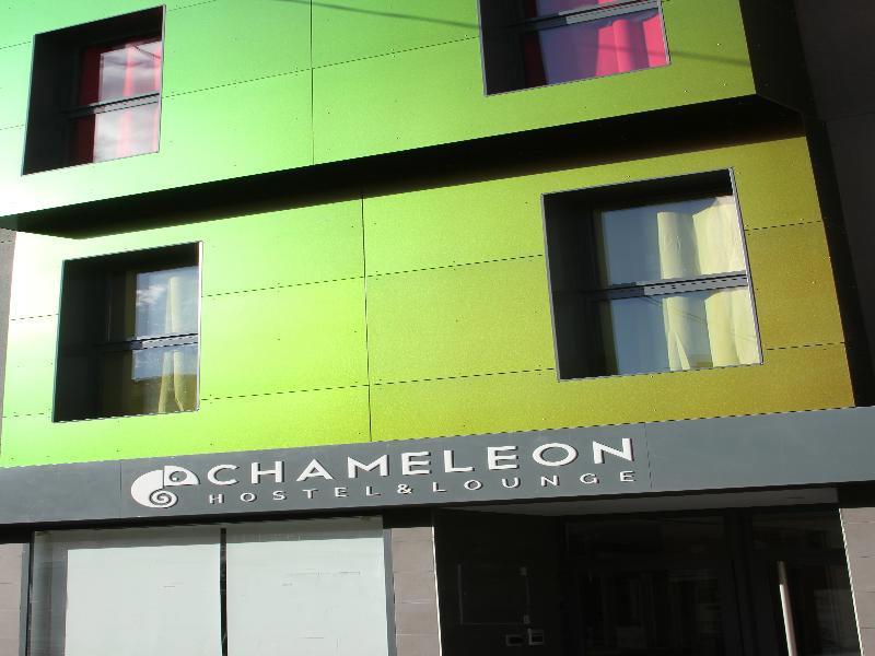 Chameleon Hostel & Lounge