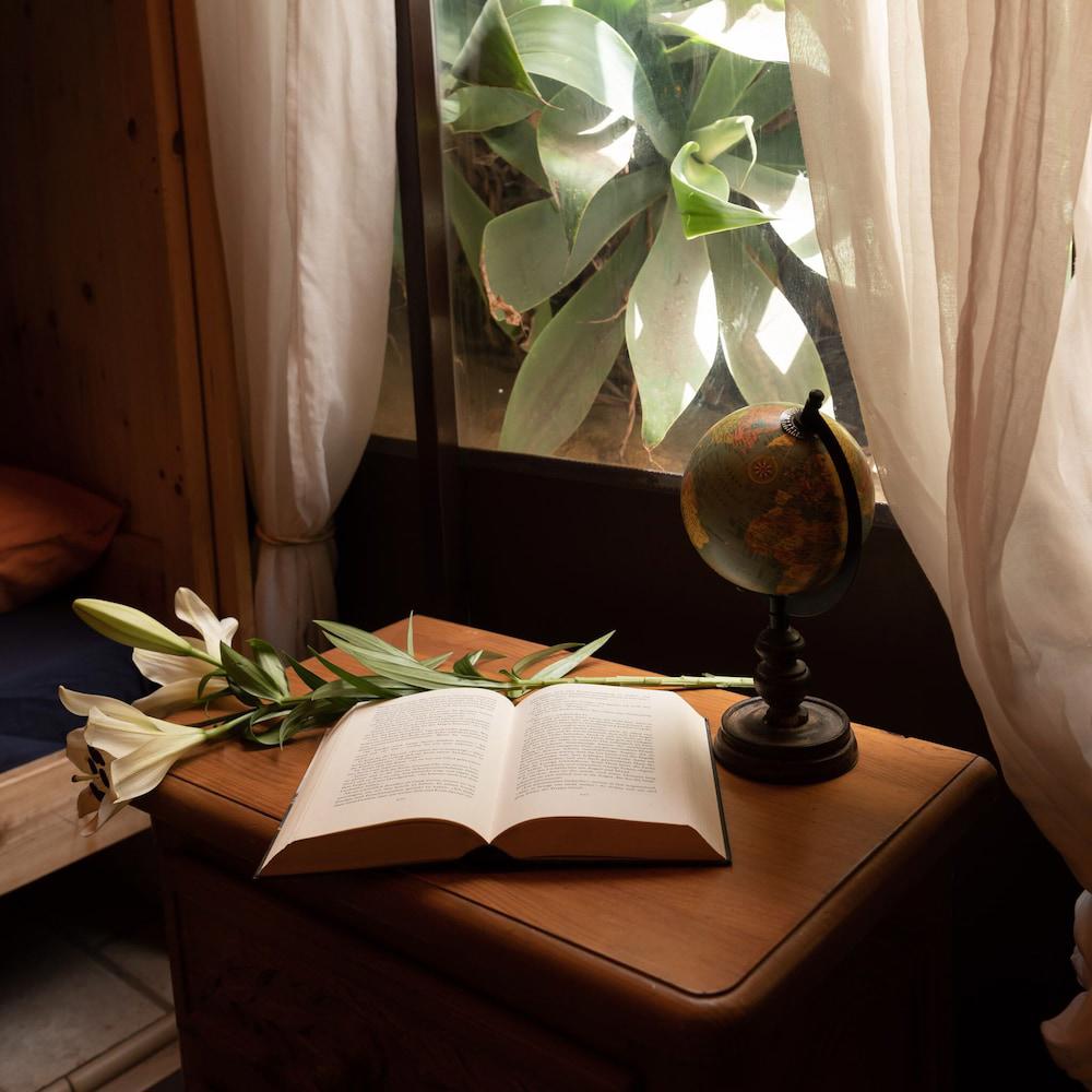 Los Amigos Hostel