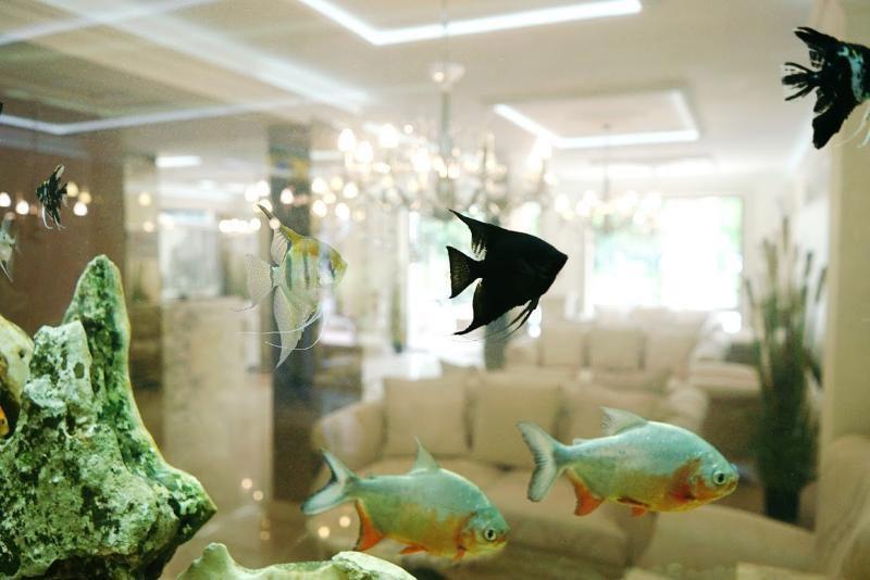 Harmony Suites 8, 9 - Dream Island