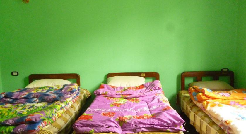 Safary Hostel