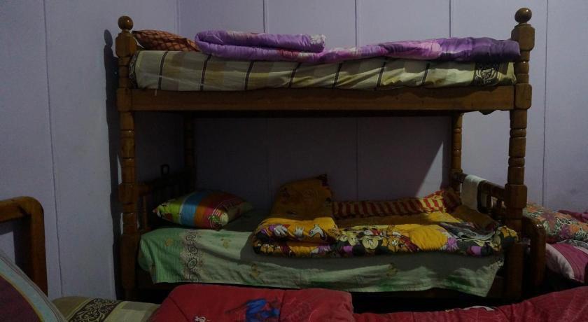 Safary Hostel